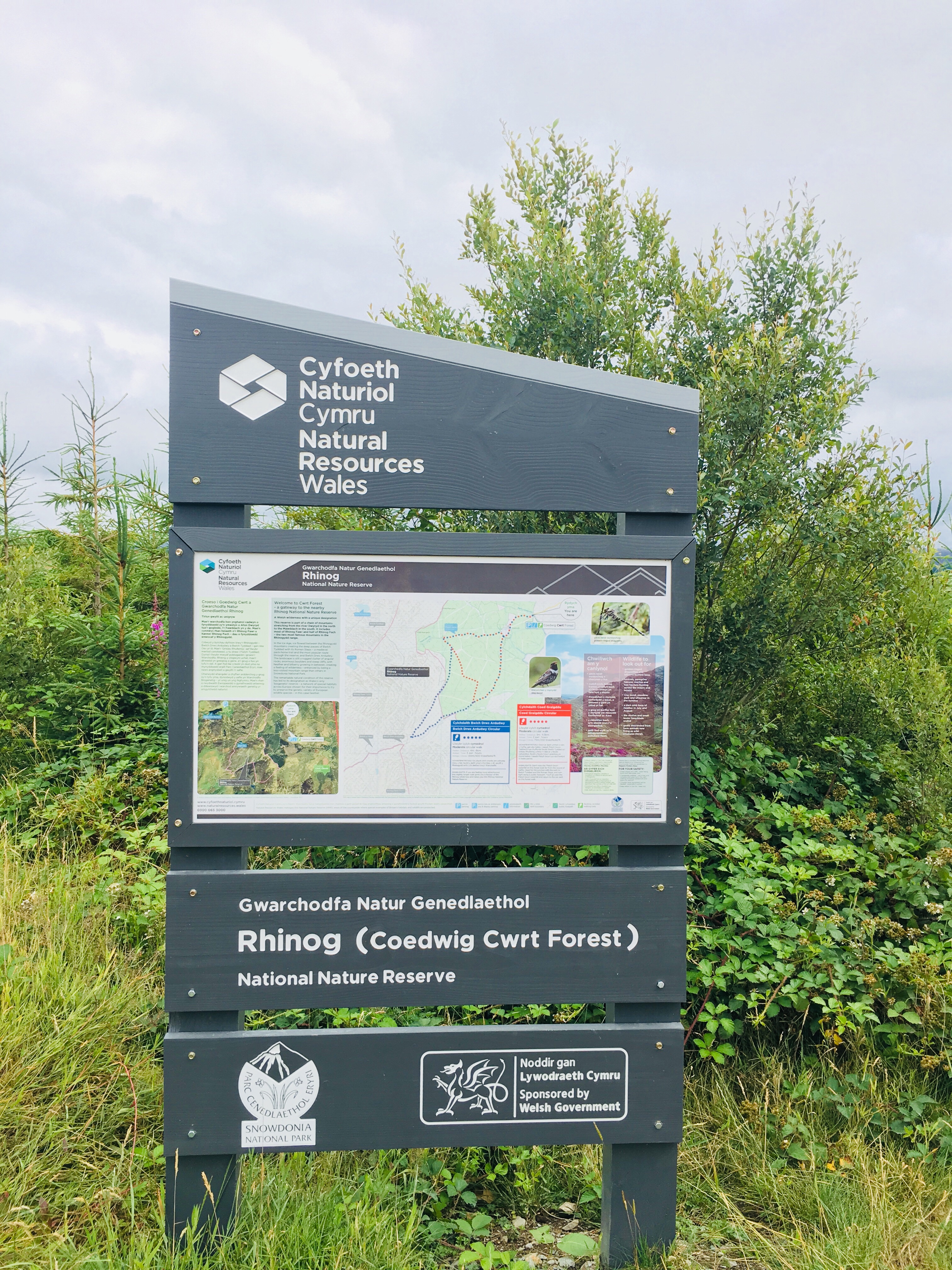 Rhinog Fawr National Nature Reserve Wales