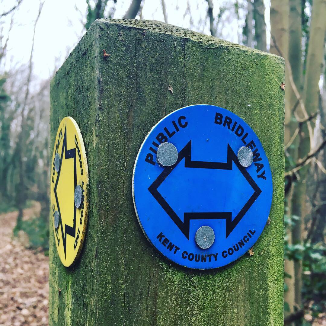 #walk1000miles