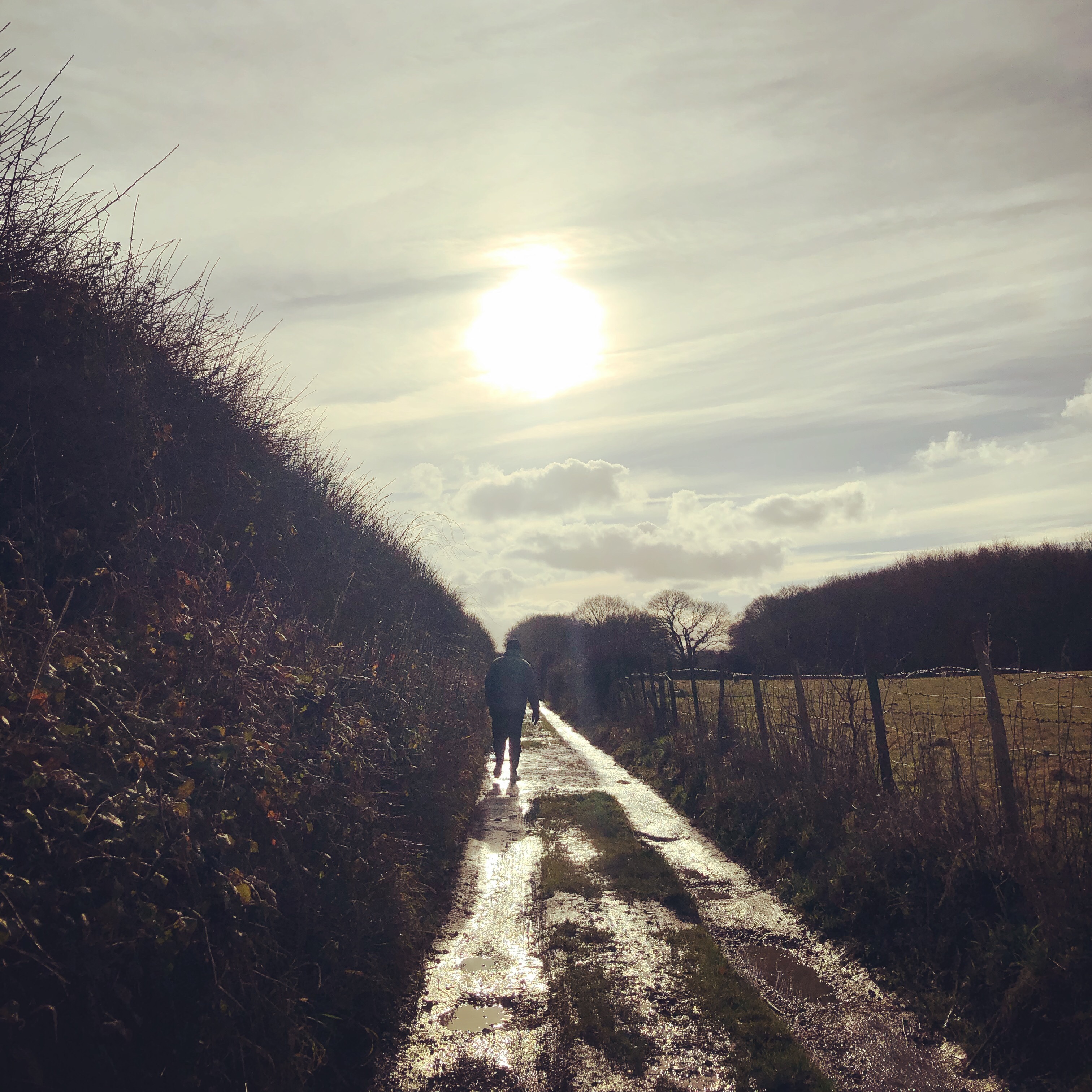 #walk1000miles