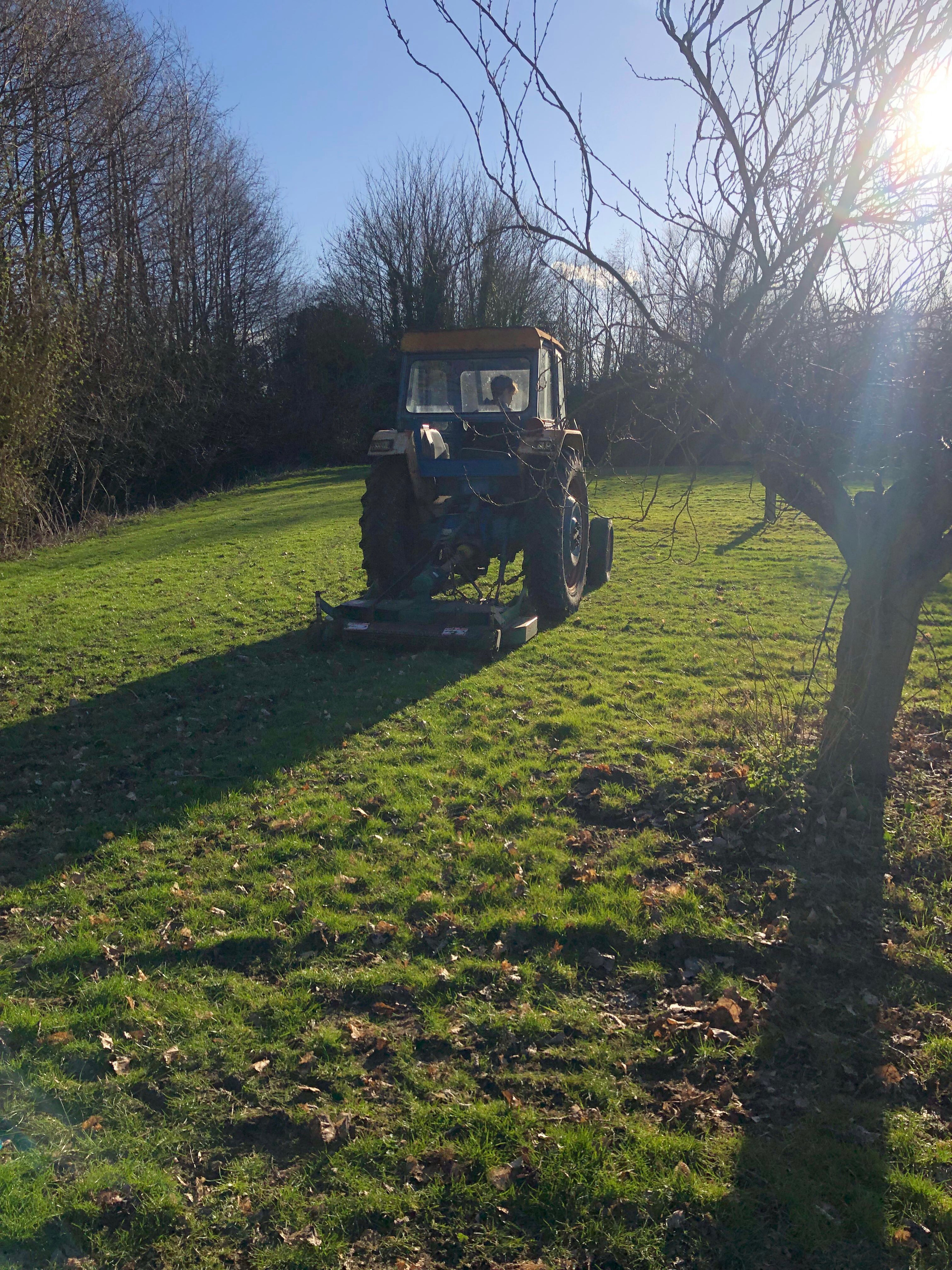 Sunday at the Farm