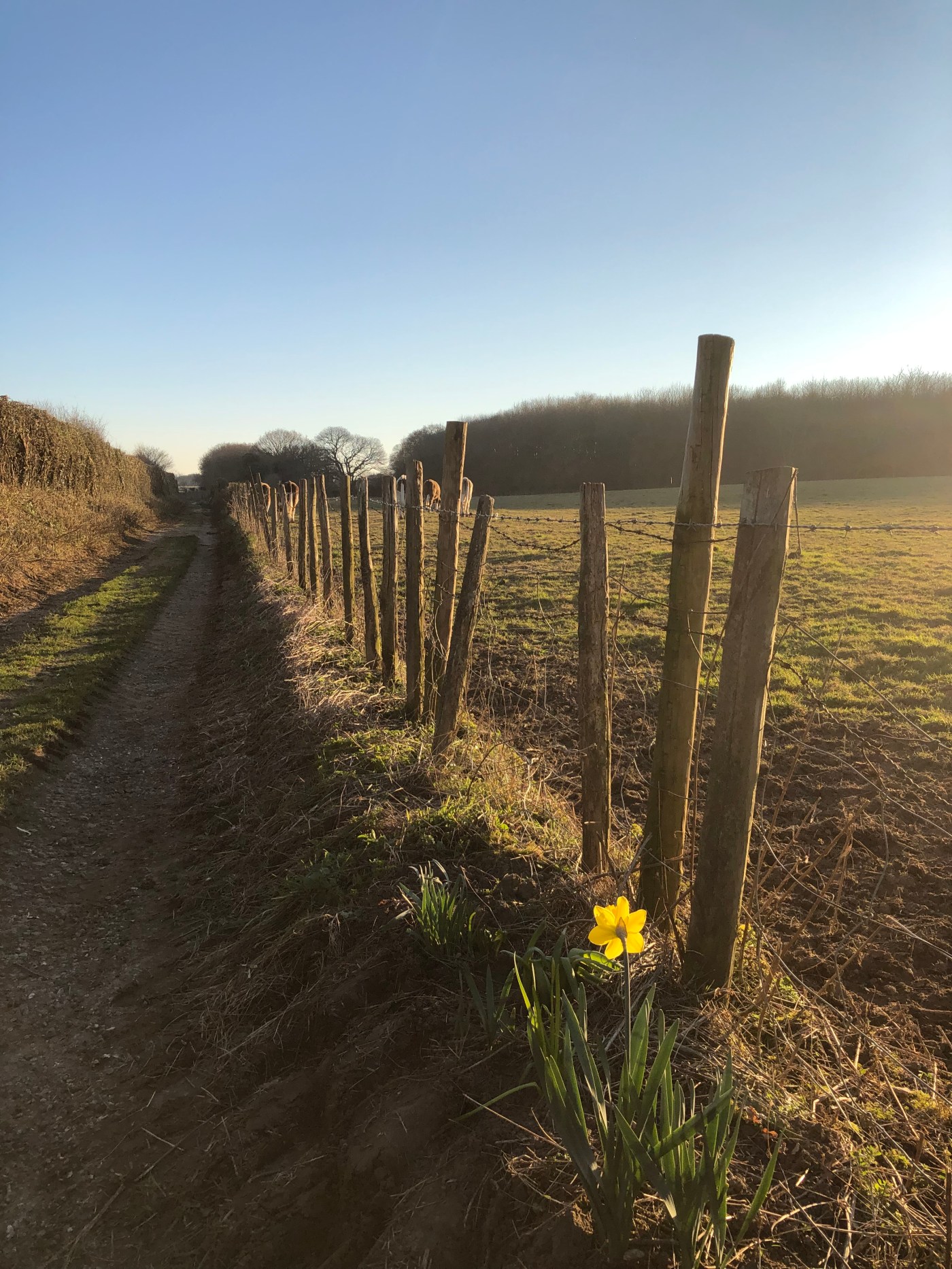 Footpath in Canterbury Kent