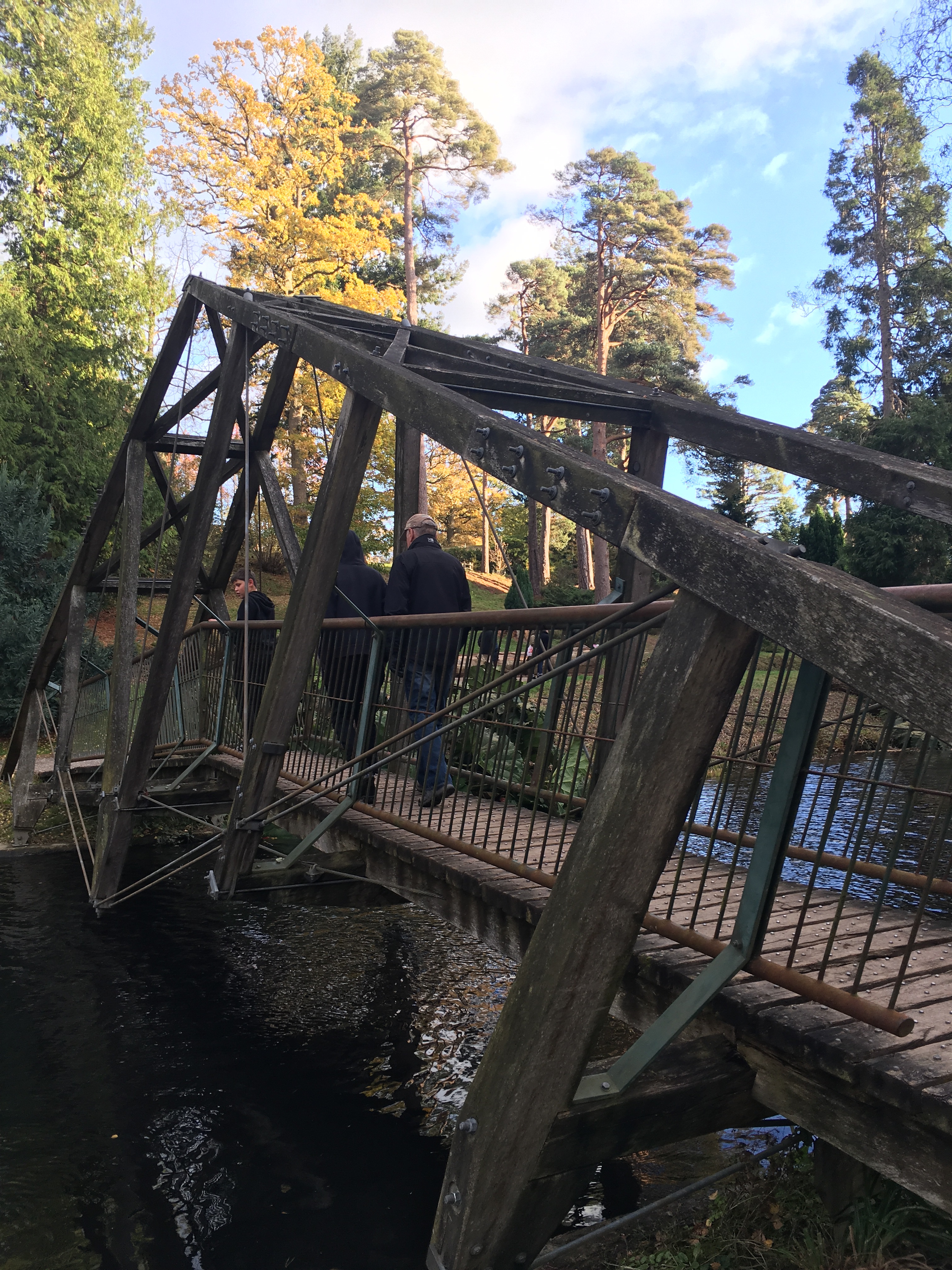 Bedgebury Pinetum