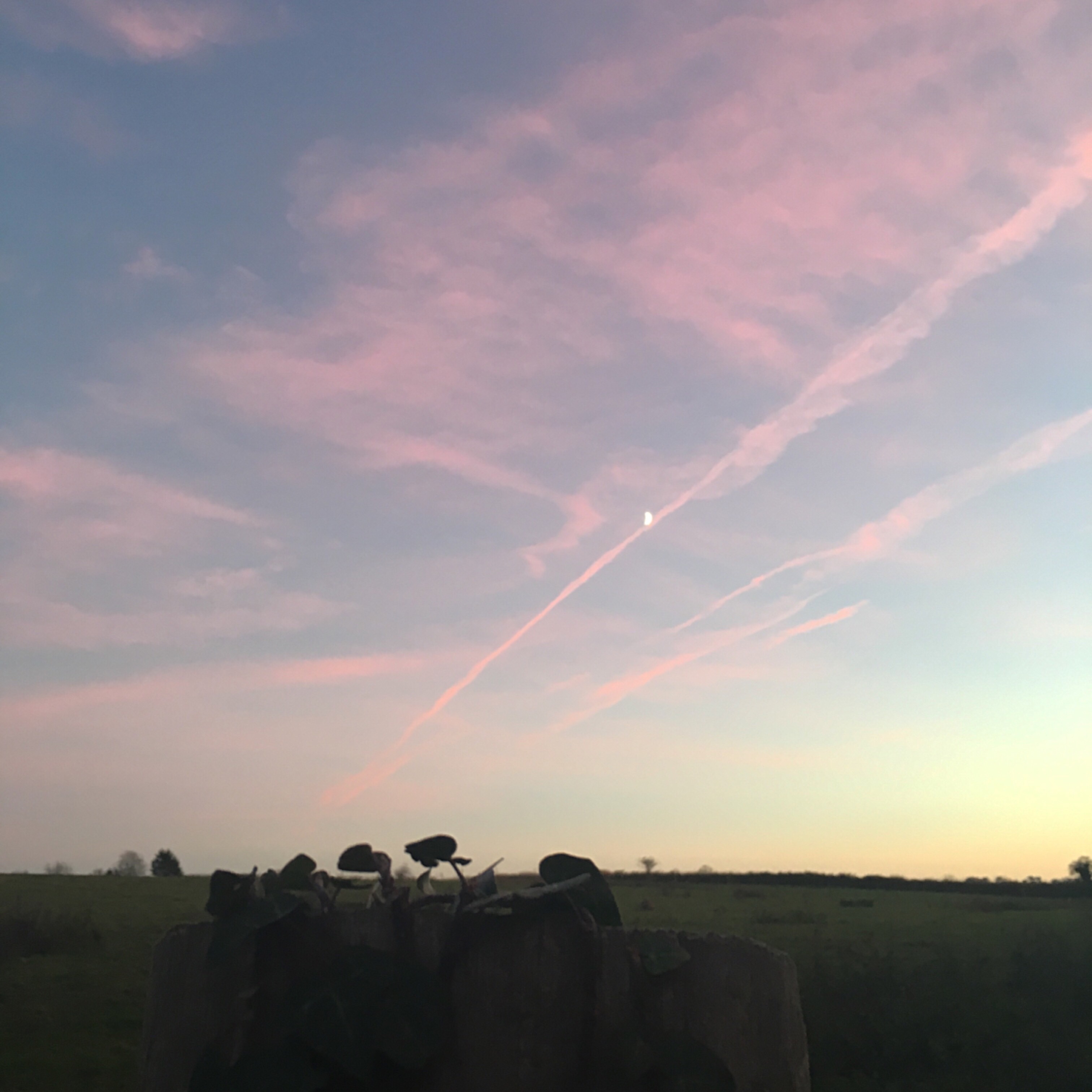 Sunset Moments