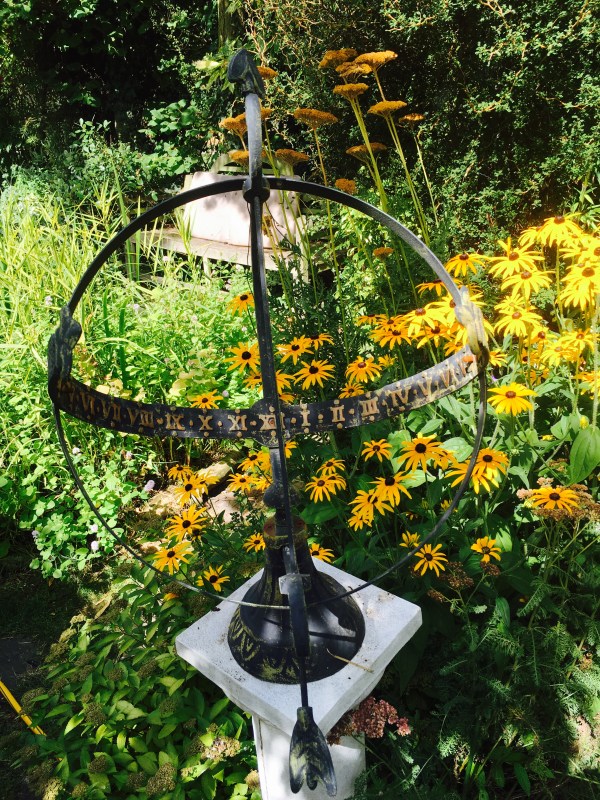 Daisy garden peaceful tranquility